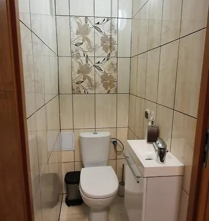 Orchidea * Kraków