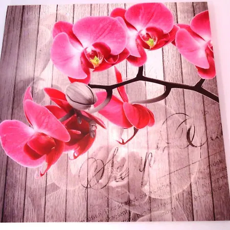 Orchidea *